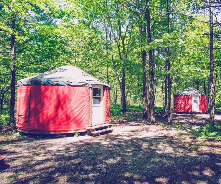 Whispering Pines yurt